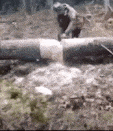 1000126061.gif