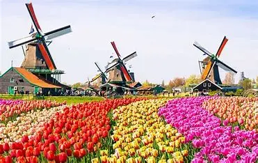 1714422347483.webp