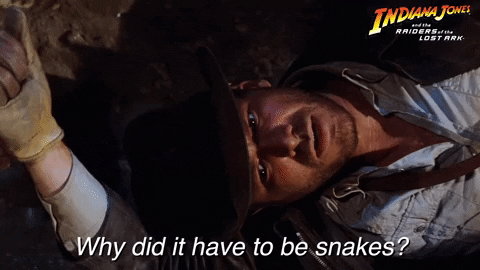 1738787613530.gif