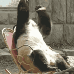 1752837715052.gif