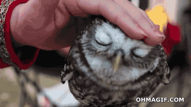 1756672245479.gif