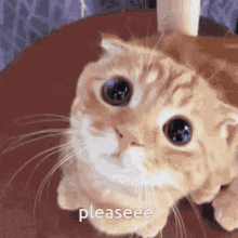 1757953983181.gif