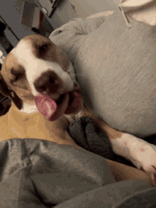1758558591692.gif