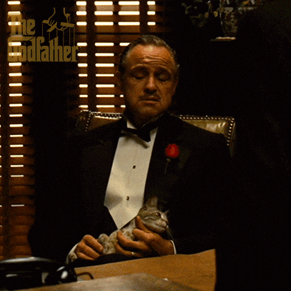 1783440618628.gif