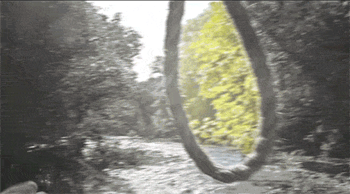 1786907228304.gif
