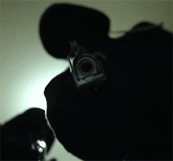 5G4r.gif