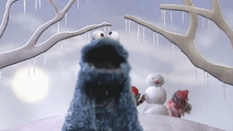 CookieMonsterSnow.gif