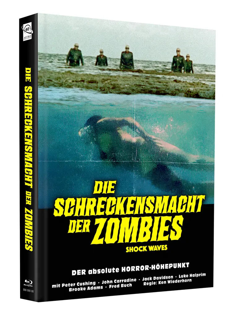 Cover C - 66.webp