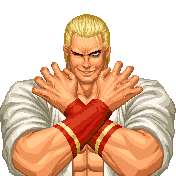 Geese96win.gif