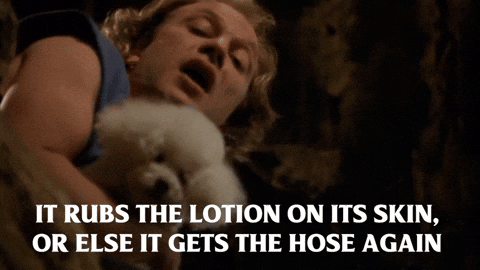 giphy (29).gif