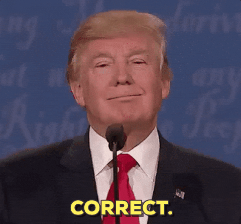 giphy (33).gif