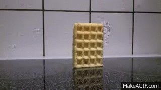 IMG_0511.gif