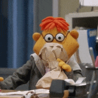 IMG_1314.gif
