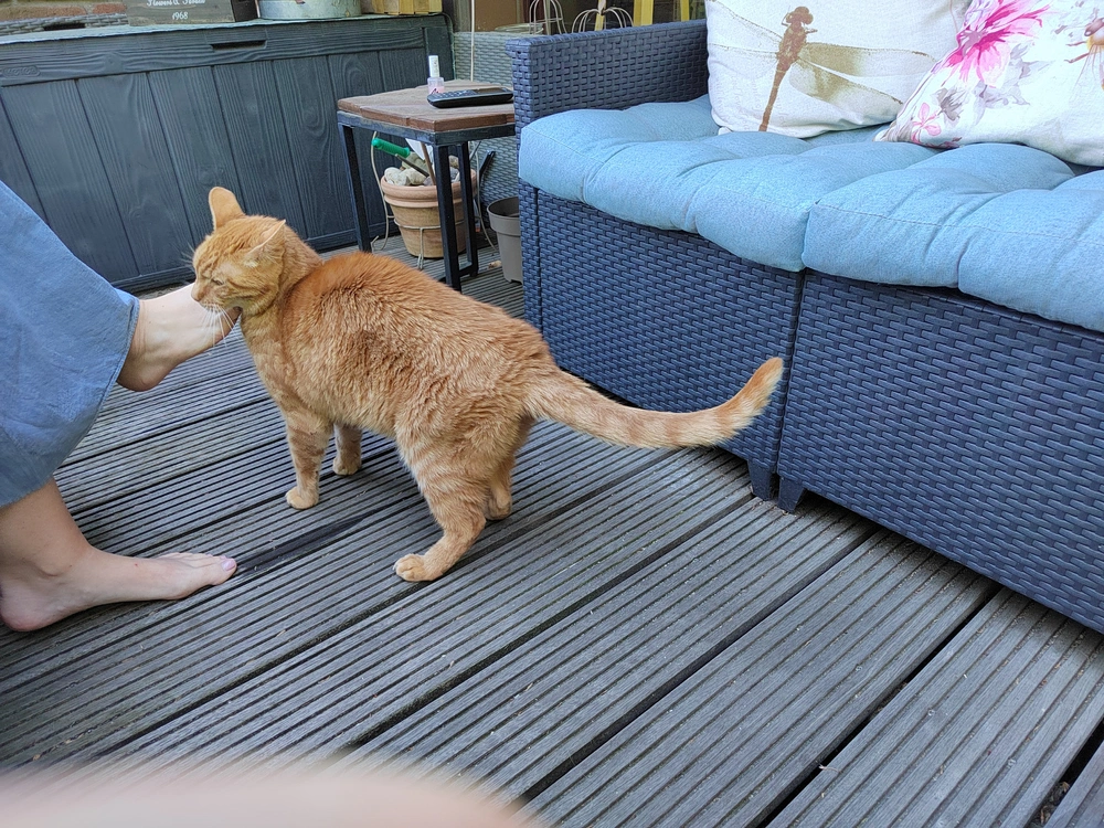 IMG_20250512_190027.webp