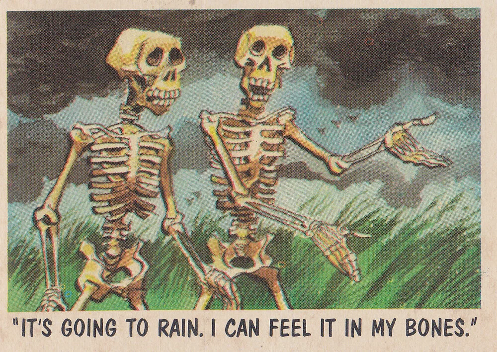 jack davis (471).webp