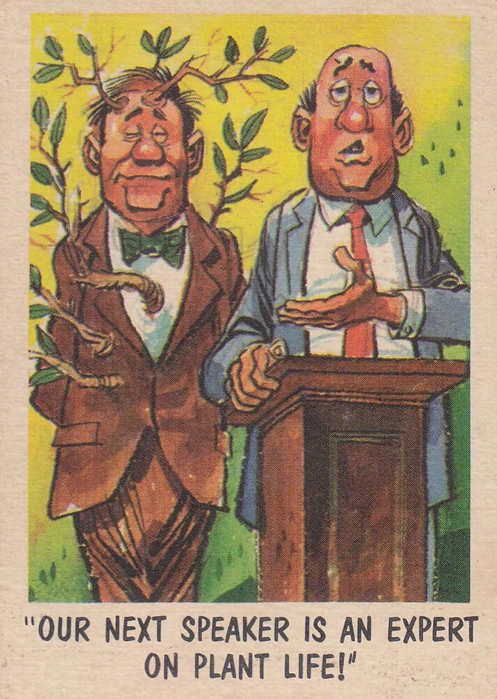 jack davis (479).webp