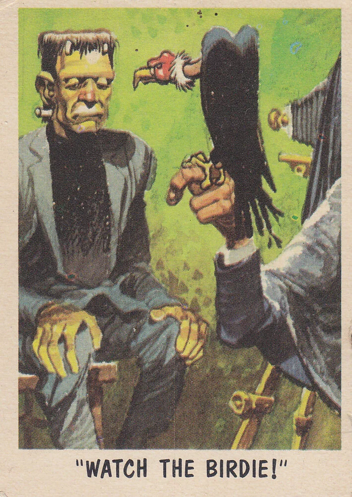 jack davis (490).webp
