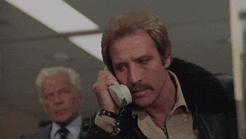 merli.gif