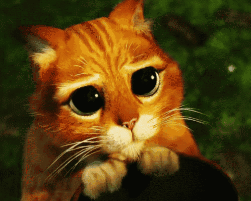 puppy-dog-eyes-sad.gif