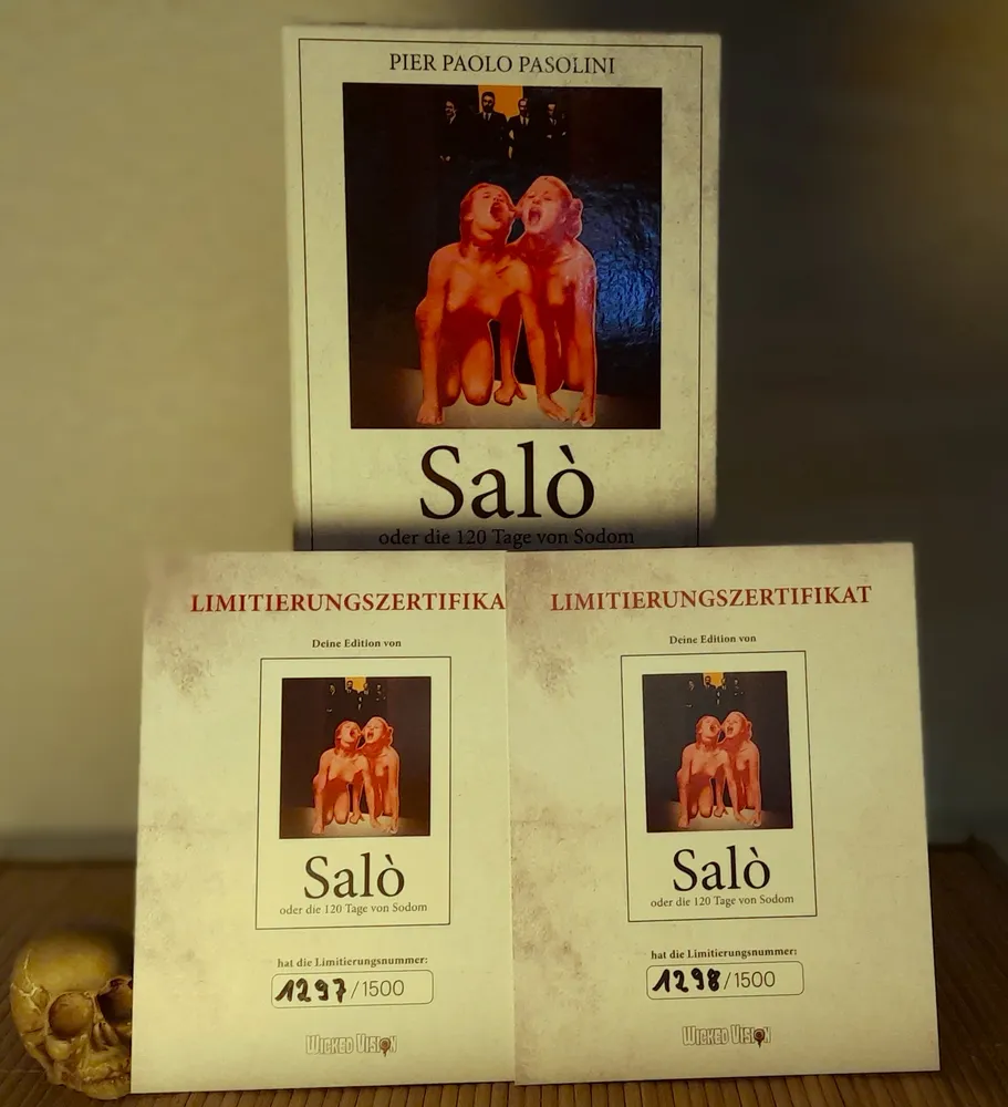 salo.webp