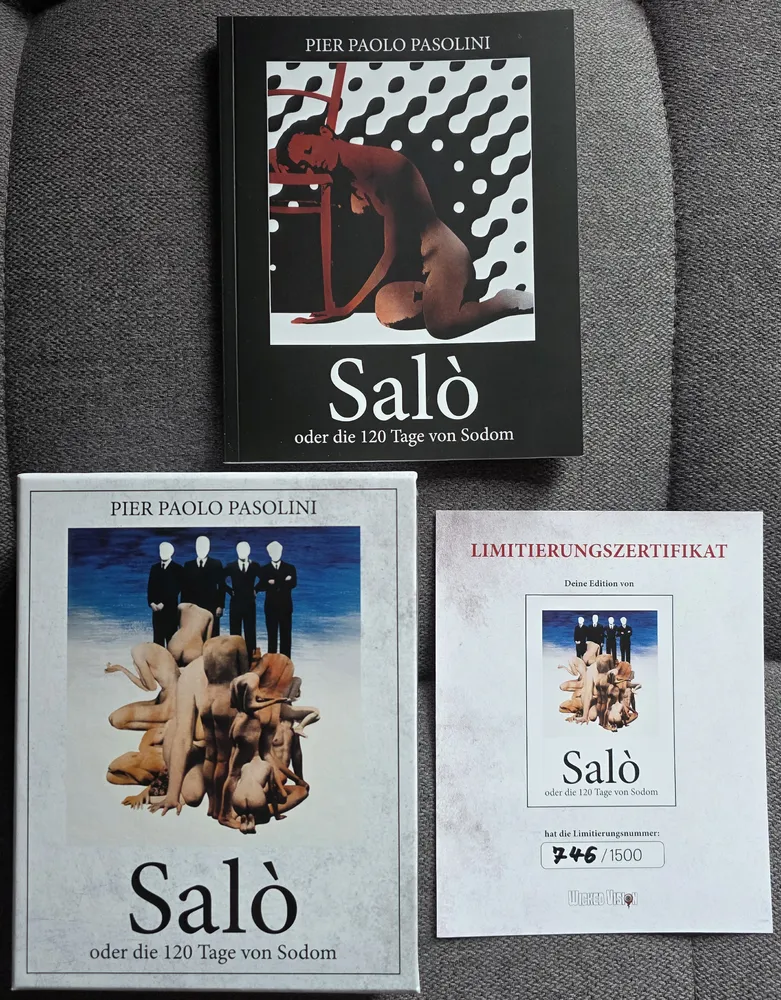 SaloBox.webp
