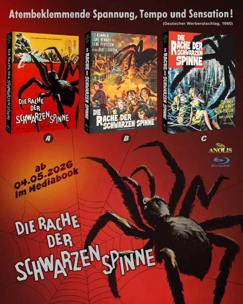 Schwarze_Spinne_fb_1200_960.webp