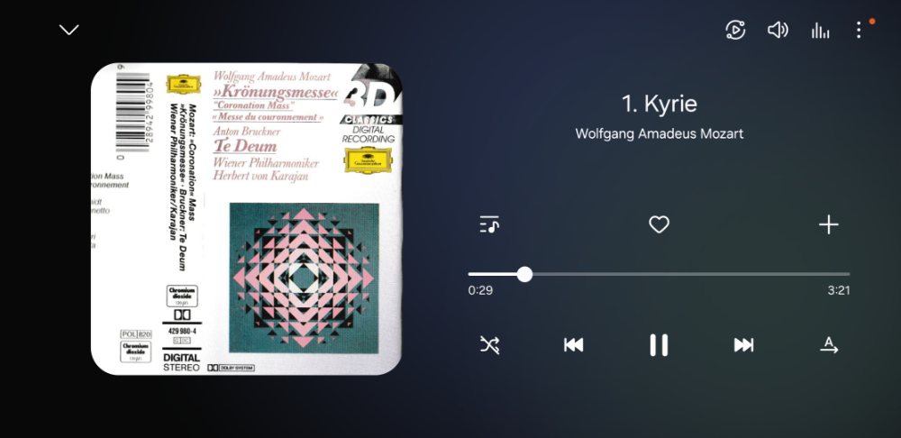 Screenshot_20250312_224221_Samsung Music.webp
