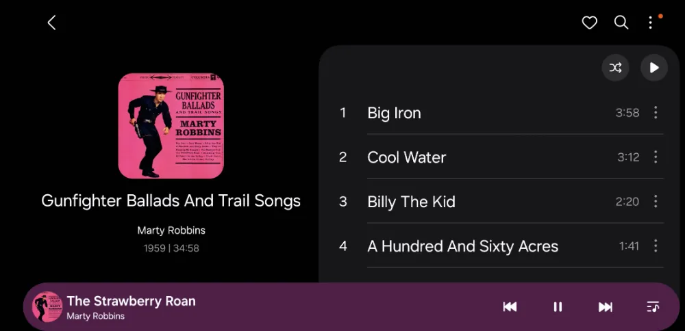Screenshot_20260227_182143_Samsung Music.webp
