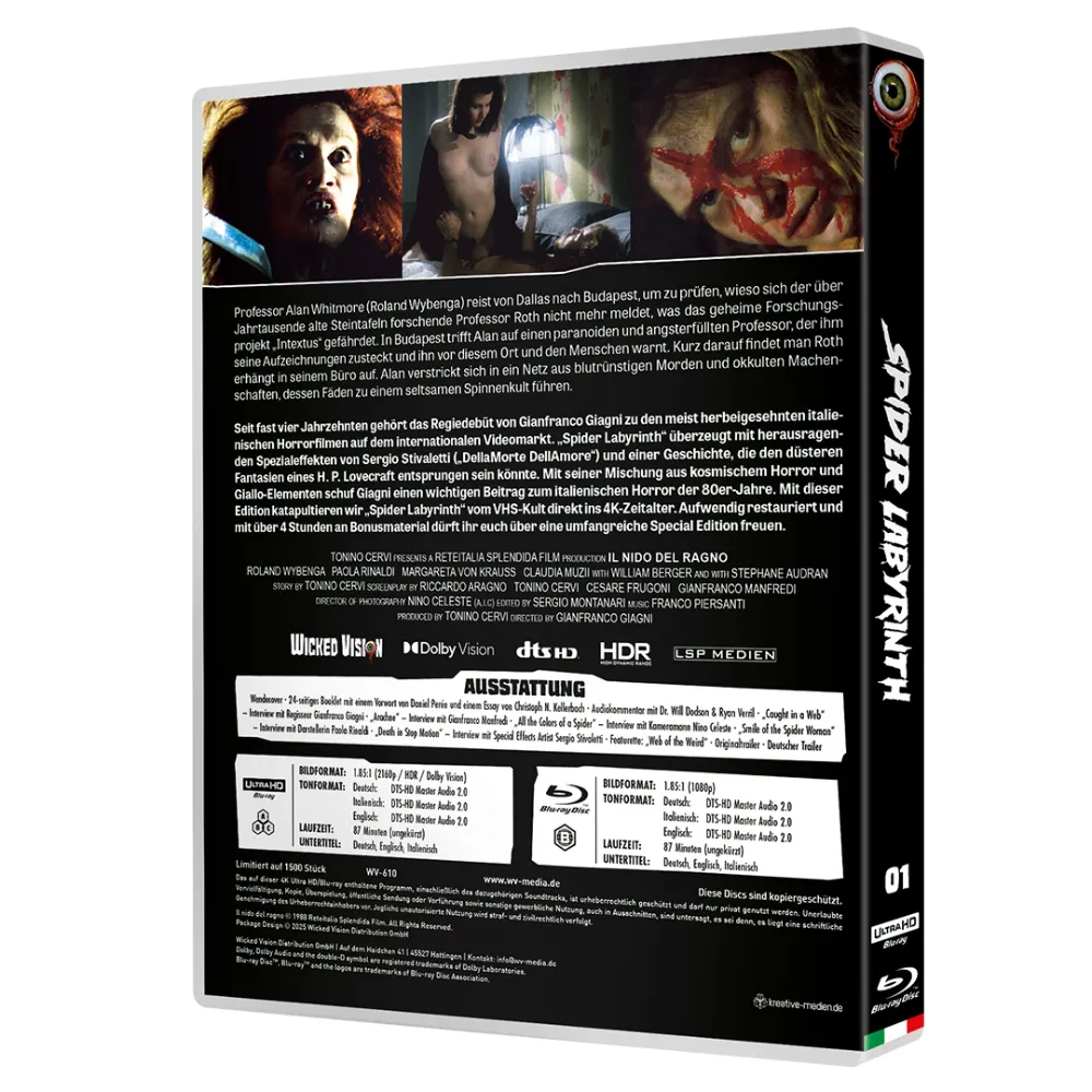SpiderLabyrinth_Back-2.webp