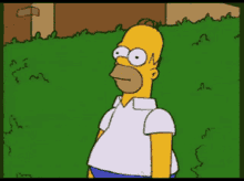 the-simpsons-homer-simpson (1).gif