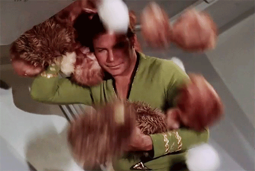 Tribbles.gif