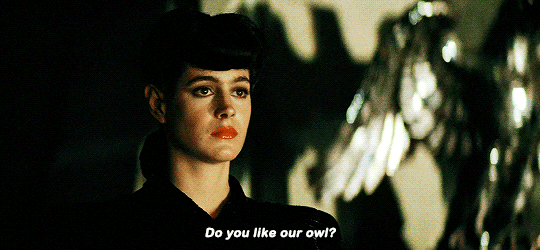 tumblr_c9fb72bf82e0b5b5c57df30c319d2434_23bdbd57_540.gif