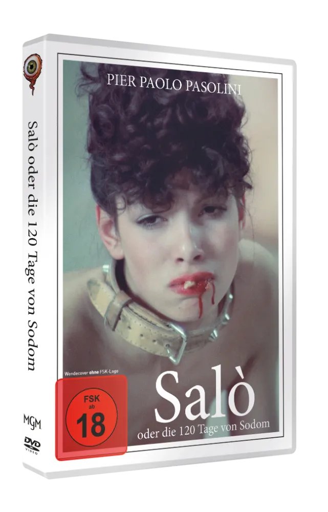 WV Packshot Salo - DVD - Front mit FSK-Siegel.webp