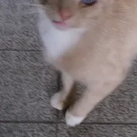 1782762753679.webp