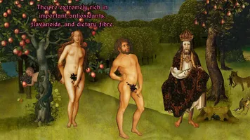 ss_02cae8377adbc165c21b156bbec195feb97cb677.webp ss_02cae8377adbc165c21b156bbec195feb97cb677.webp