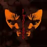 J-Torrance